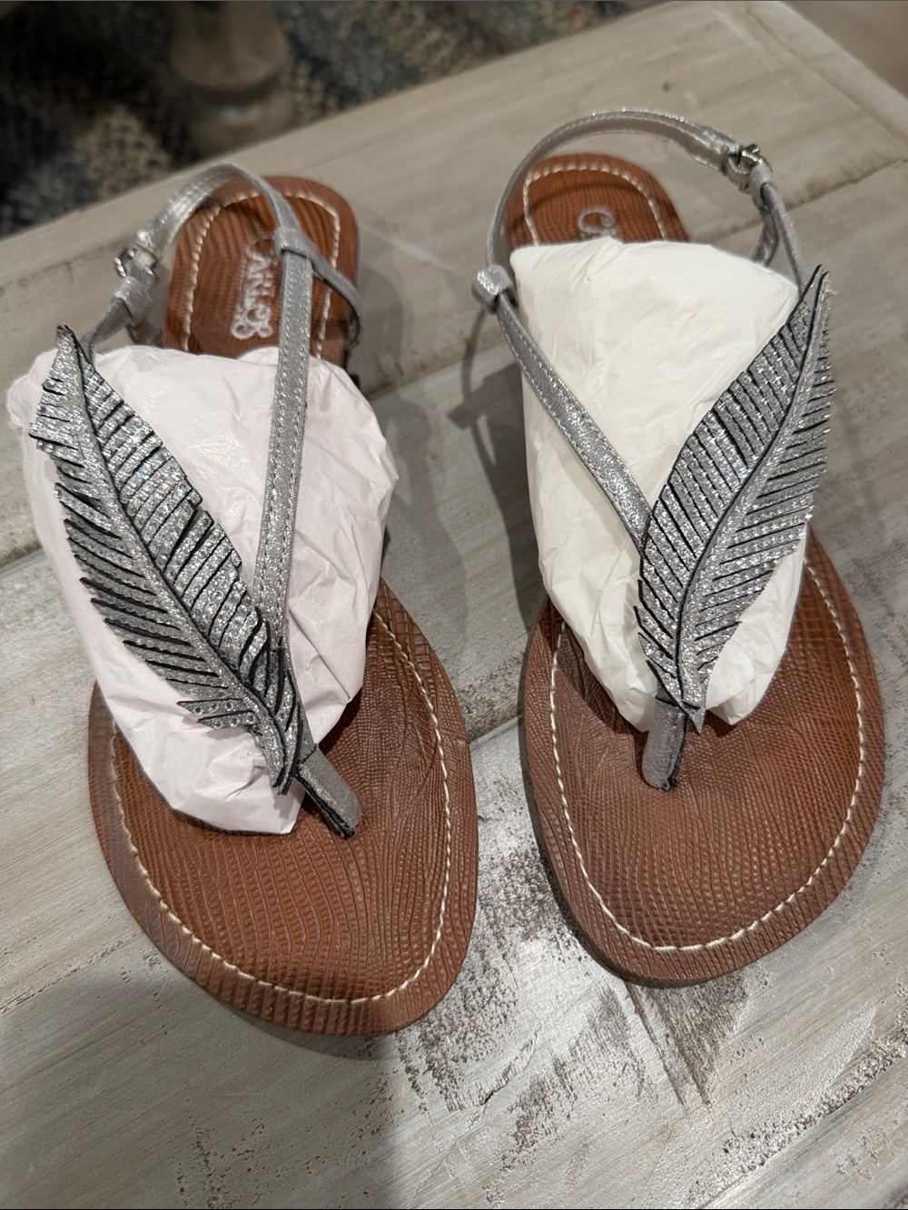 Carlos by Carlos Santana Silver Feather T-Strap Sandals with Brown Footbed